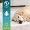 caratteristiche-tappetini-igienici Traverse per cani 60x90 assorbenti con base impermeabile antiodore