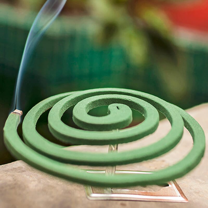 coreografica spirale