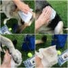 2-salviette-per-cani4