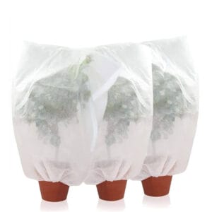 Set 3 Cappucci protettivi Bianche per piante