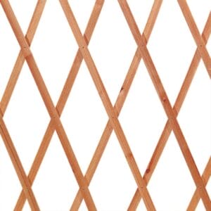 Traliccio per piante rampicanti in legno spessore 5 mm