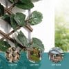 traliccio con foglie usi Grigliato estensibile con foglie per privacy balcone giardino terrazza