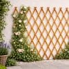traliccio in legno estensibile coreografica Grigliato estensibile in legno per piante rampicanti e decorazione giardino