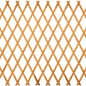 Traliccio per piante rampicanti in legno spessore 5 mm