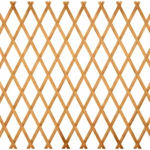 Traliccio per piante rampicanti in legno spessore 5 mm