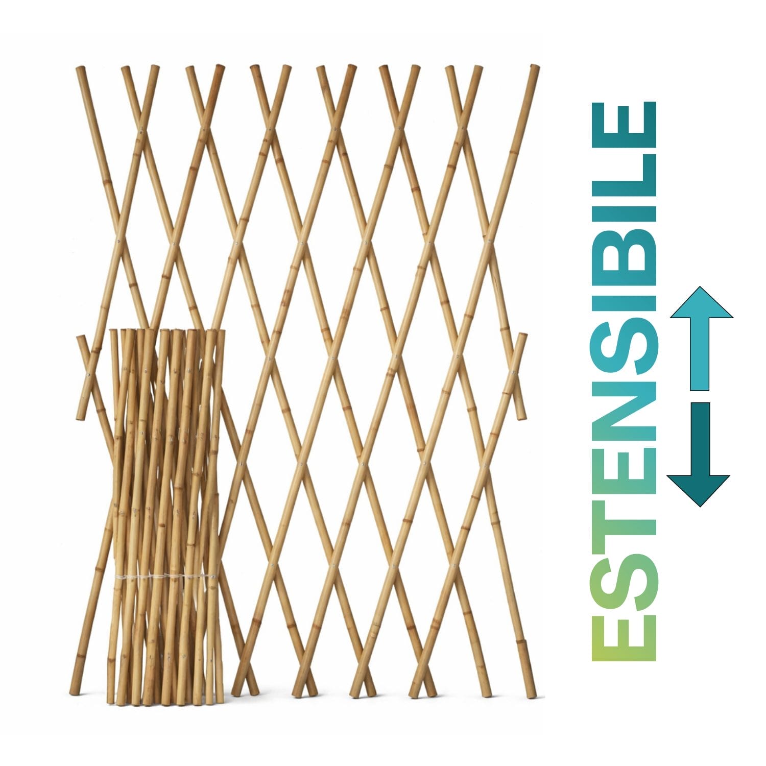 Traliccio estensibile in bambù regolabile per supporto piante