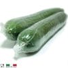 termoretraibile3