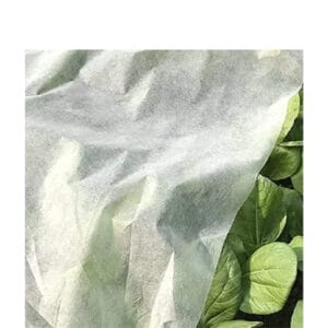 Telo antigelo piante 1,6×5 m