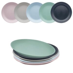Set 5 Piatti infrangibili in plastica dura