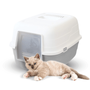 Lettiera per gatti chiusa con filtro 48x38x32 cm