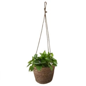 Porta piante sospeso in Fibra Naturale diametro 25 cm