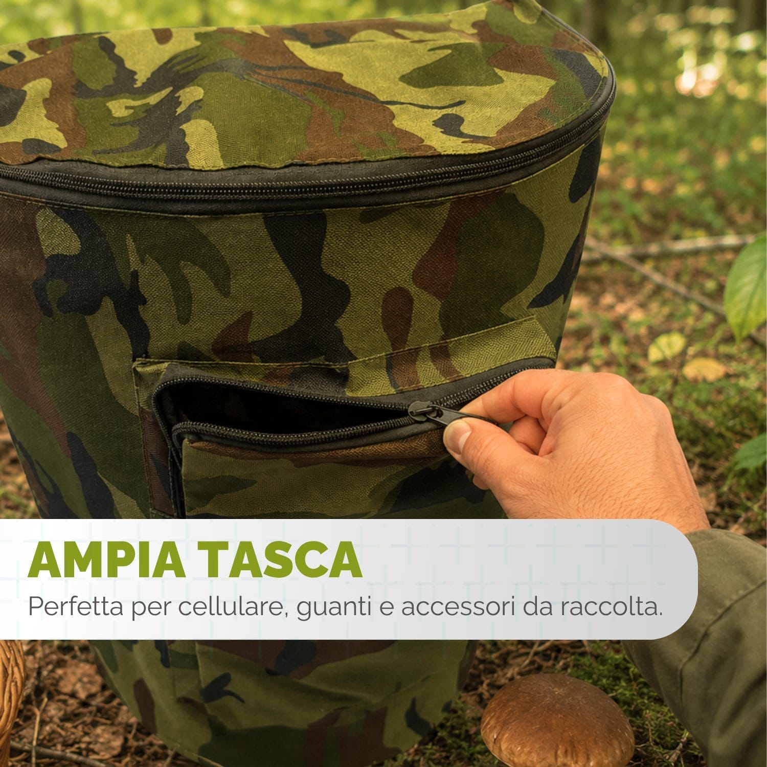 tasca frontale