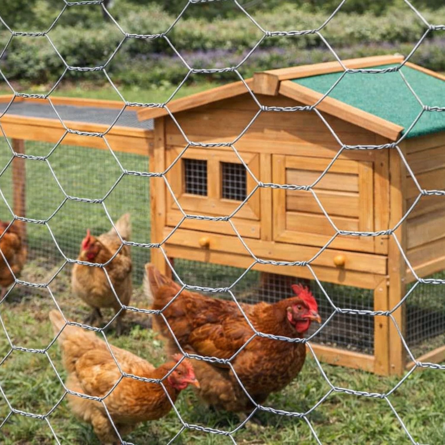 Rete metallica zincata a rombi per pollaio e recinzioni, rete resistente per animali