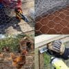rete metallica zincata a rombi utilizzi Rete zincata per pollaio e recinti, filo metallico resistente per esterno