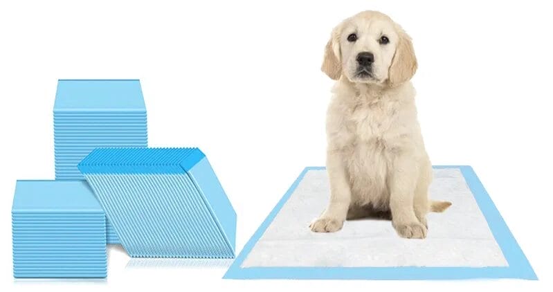 Tappetini assorbenti per cani anti odore e particelle cattura pipì, cucciolo seduto sopra traversina igienica