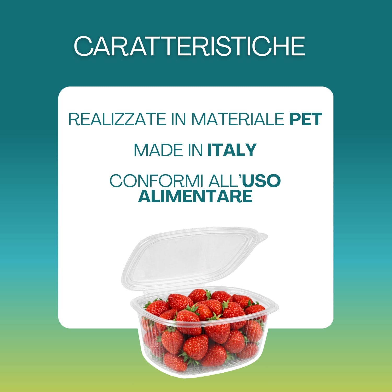Vaschetta in PET per alimenti made in Italy conforme al contatto alimentare