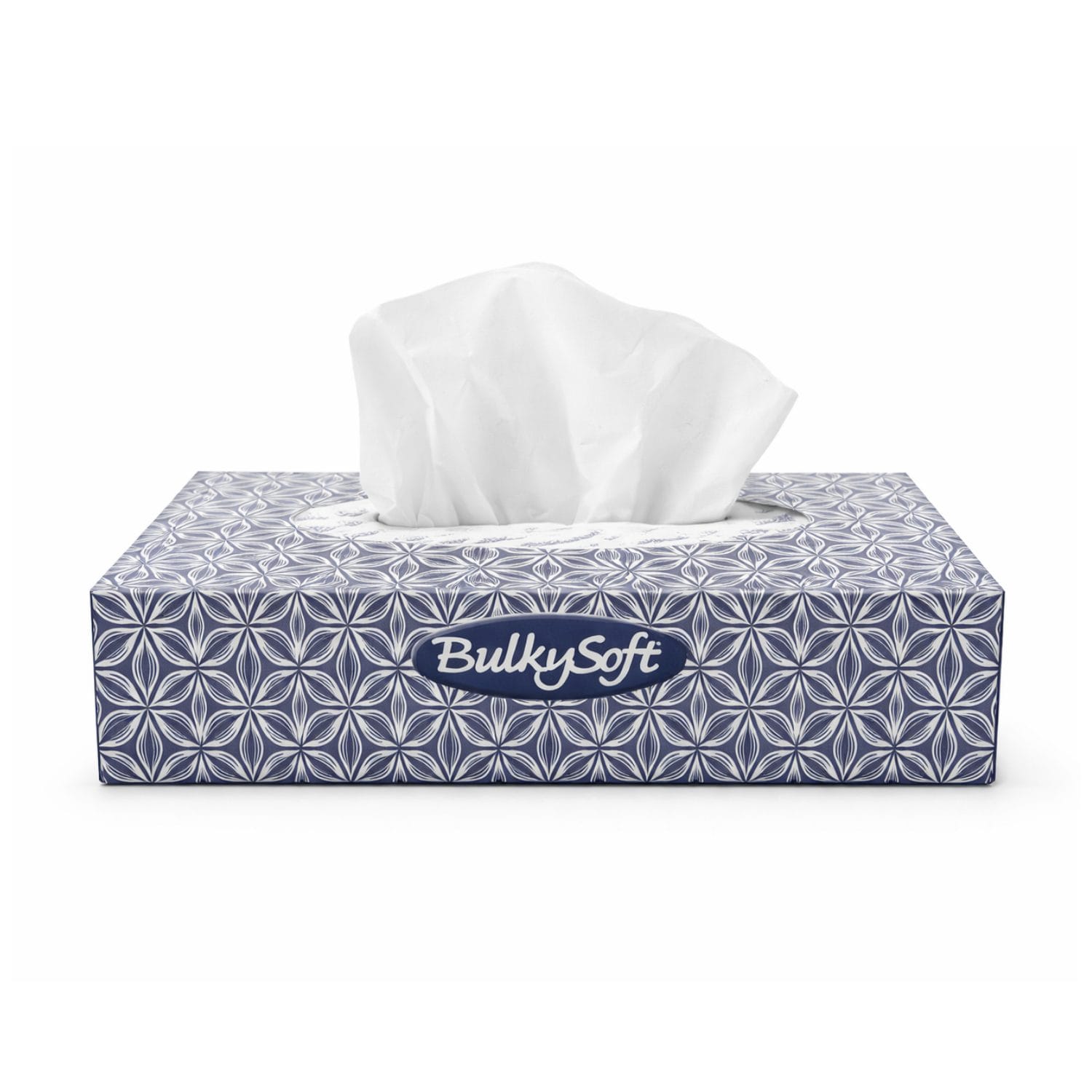 Scatola fazzoletti velina 2 veli 100 pezzi BulkySoft